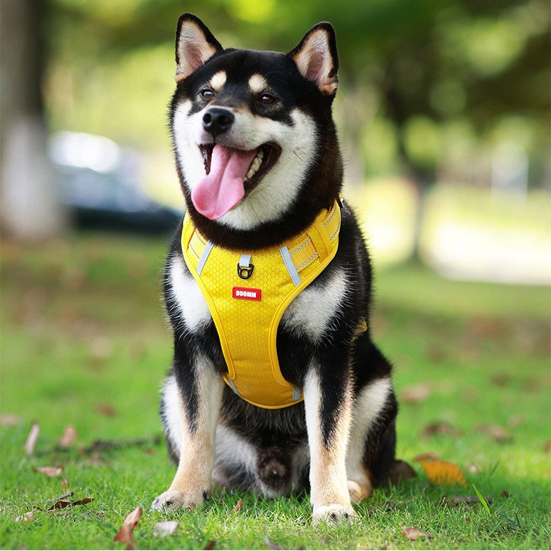 🐶【2.5–45 kg+1,5-metrska vrv】Nova odsevna oprsnica za pse, proti pobegu, primerna za sprehode na prostem.